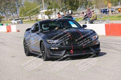 media/Mar-29-2025-Speed Ventures (Sat) [[9900210f0d]]/Purple/Grid and Front Straight/